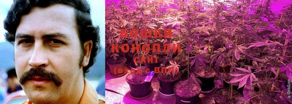 соль курить ск Наволоки