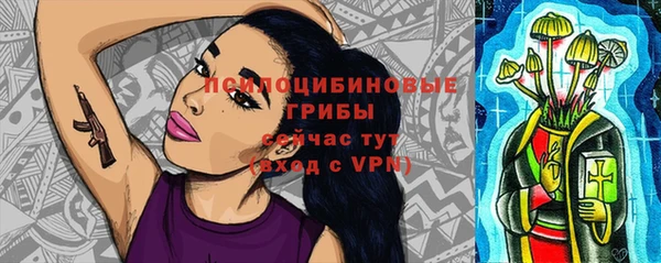 стафф Алексеевка